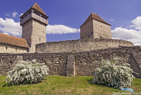 Forteresse Câlnic